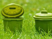 garbage-cans-green-plastic-812448-473x300